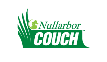 Nullarbor Couch
