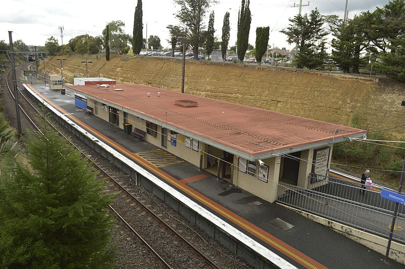 Watsonia image
