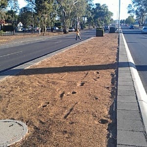 Dirt pre-install median-strip