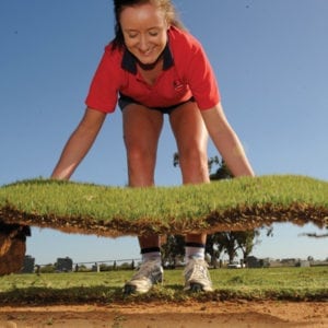 Turf installation Slab Cut image