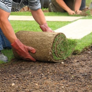 Cost of Laying Instant Turf (4) Cost of Laying Instant Turf (4)