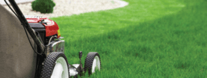 spring lawn care