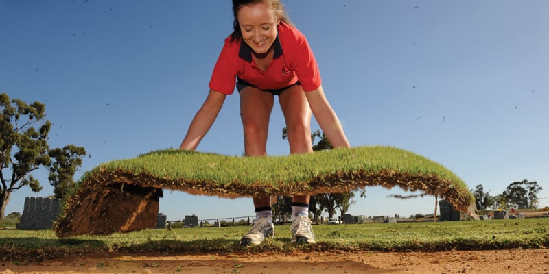 how to lay instant turf