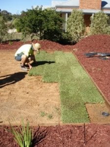 how to lay instant turf