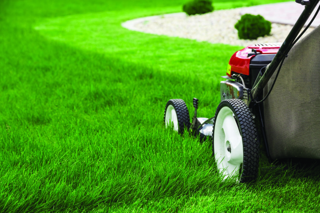 lawn mower on instant turf