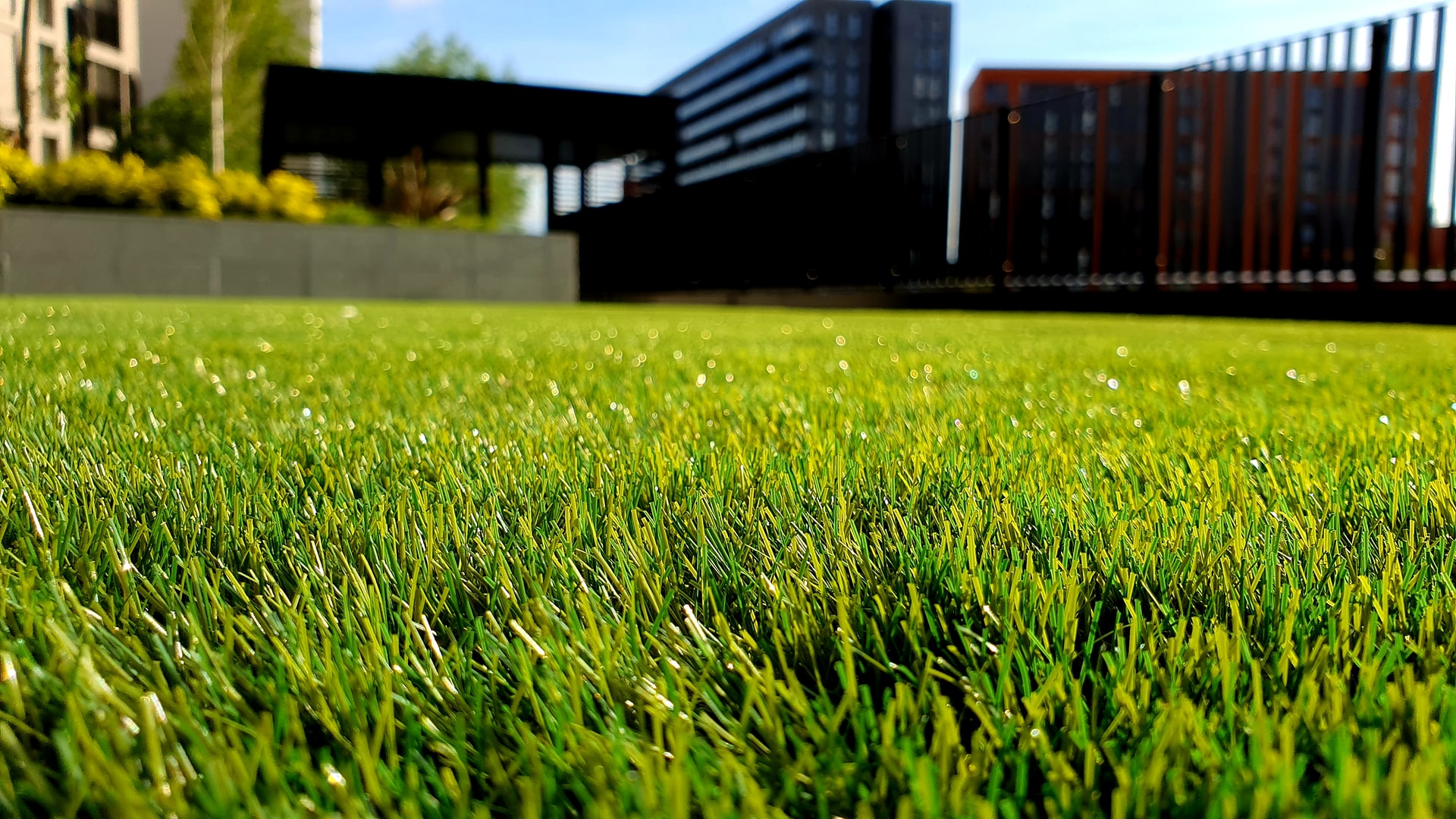 When Is The Best Time To Lay Instant Turf Coolabah Turf