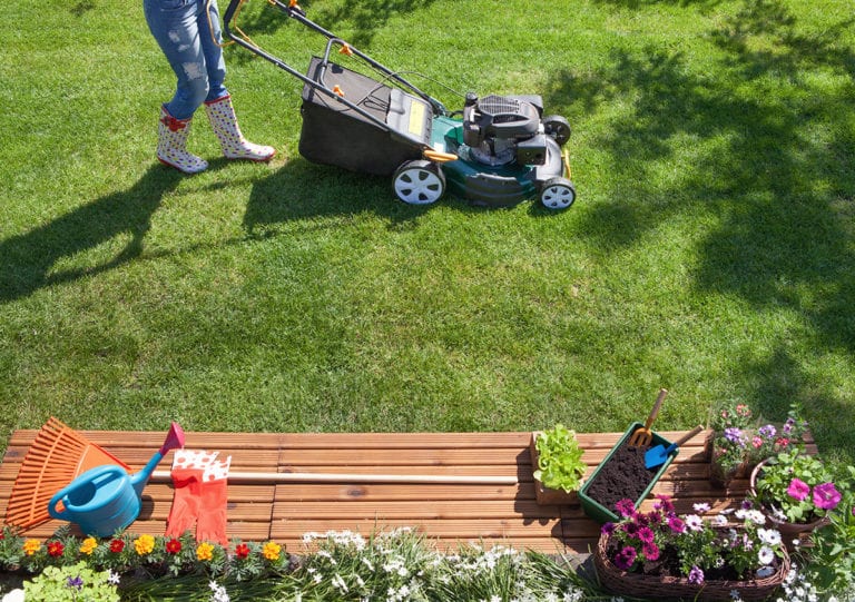 A Seasonal Guide to Lawn Care - Instant Turf Coolabah