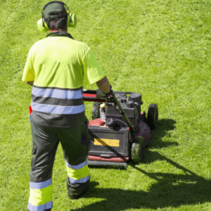 Mowing-Instant Mowing-Instant