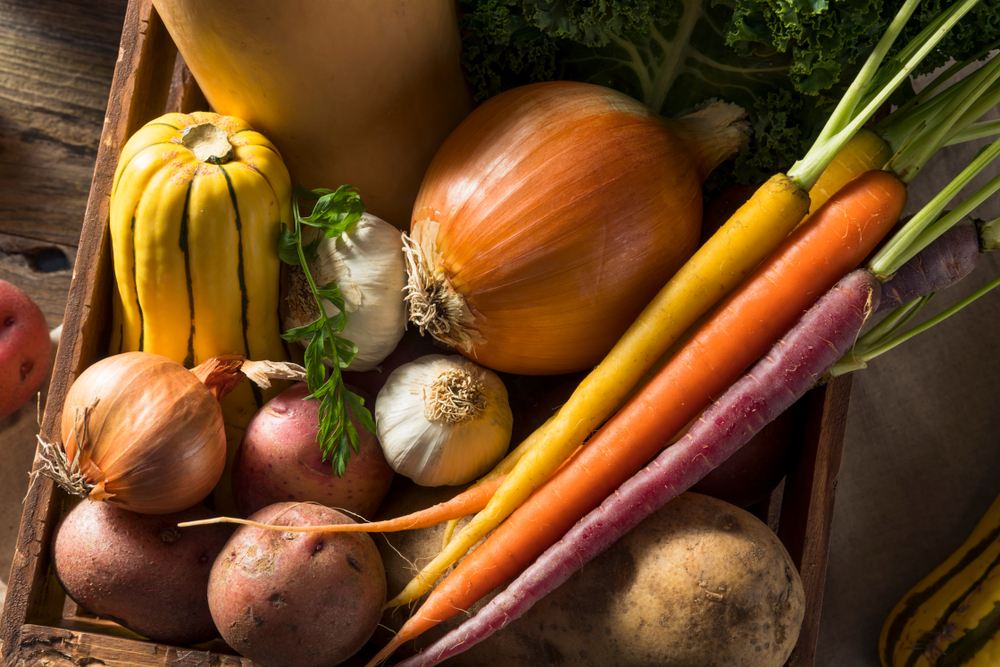 winter vegetables: carrots, parsnip, onion, garlic and potato