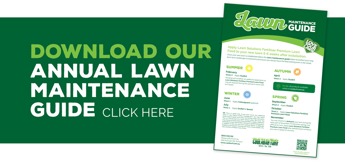 Seasonal Lawn Care & Maintenance Guide | Coolabah Turf