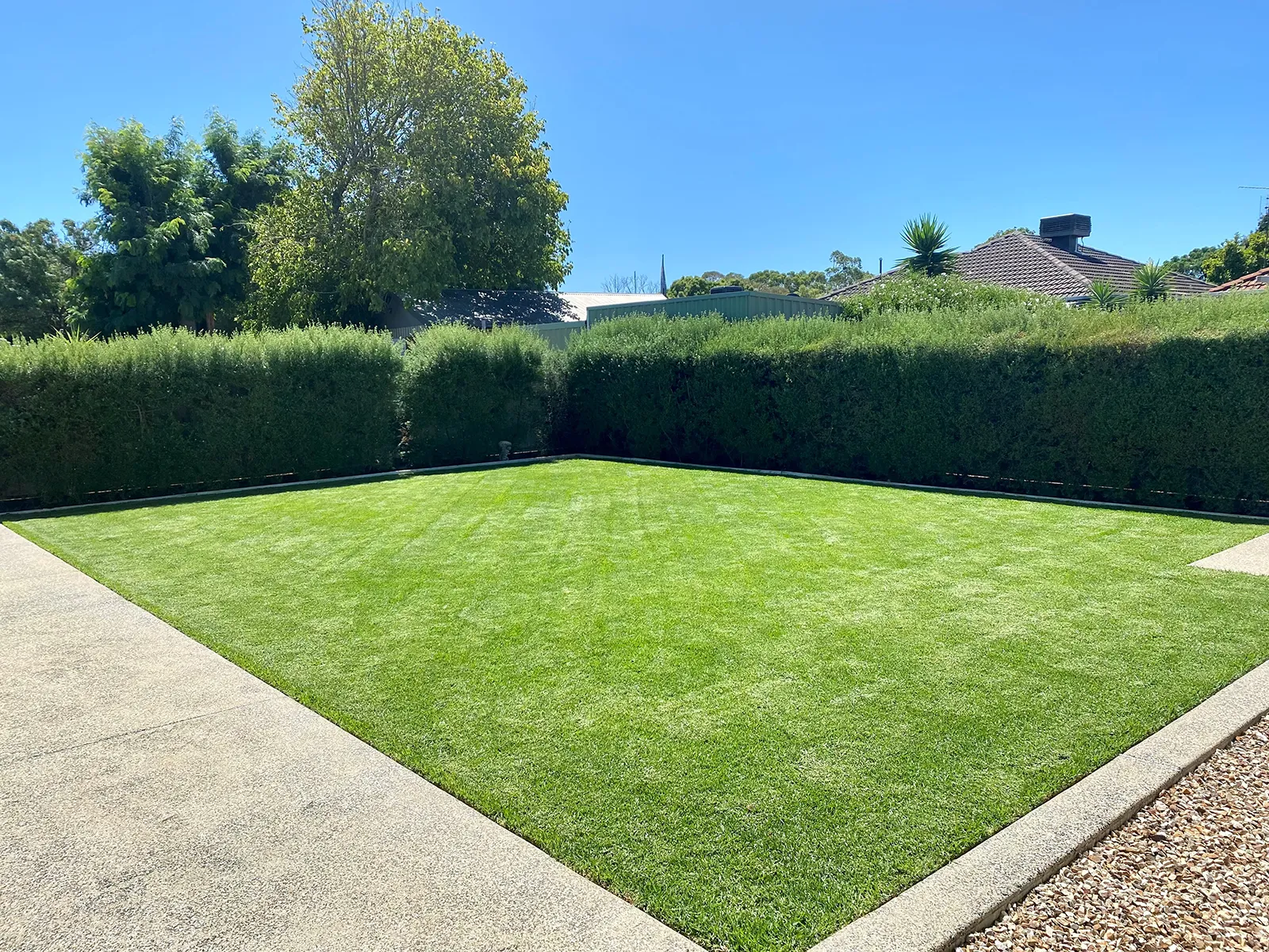 residential-Back Yard1. residential-Back Yard1.