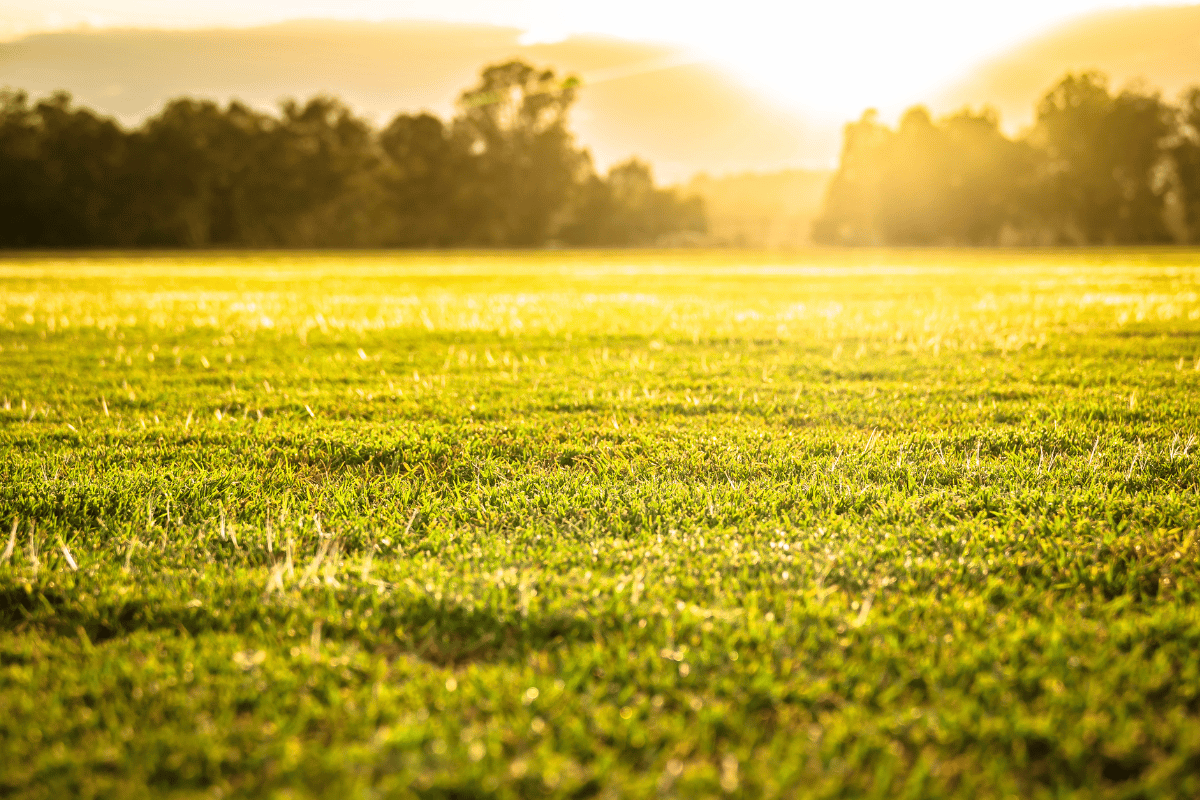 WordPress Images (10)