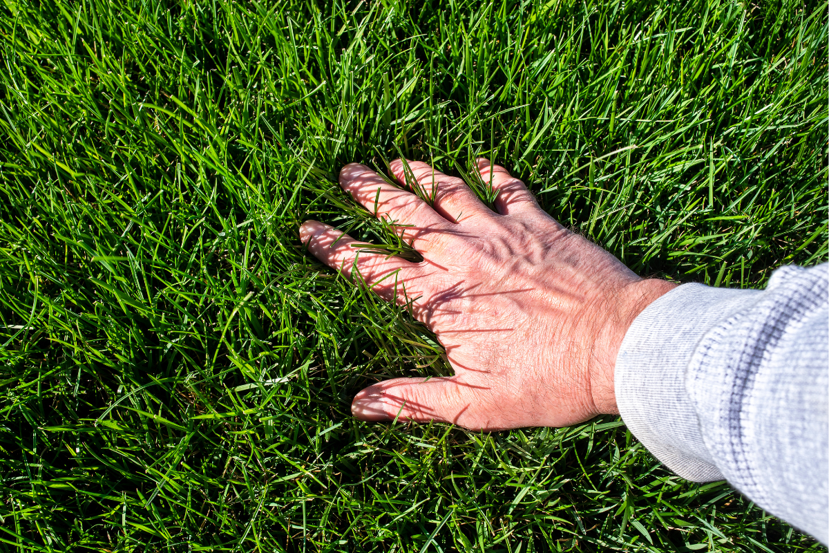 WordPress Images (20) WordPress Images (20)